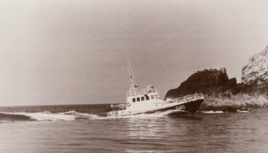 Vedette 