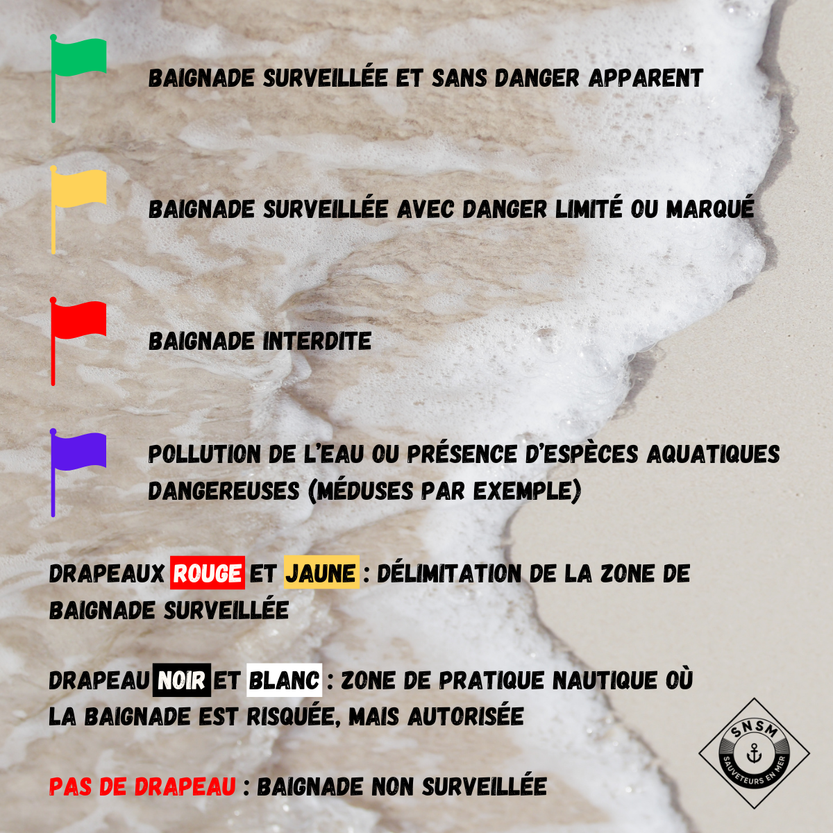 Infographie des différents drapeaux sur la plage